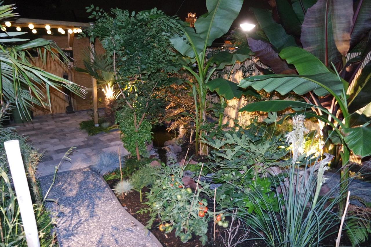 Jungle Stay In A Hidden Paradise Zwijndrecht Zewnętrze zdjęcie